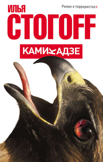 Камикадзе Илья Стогоff, Камикадзе