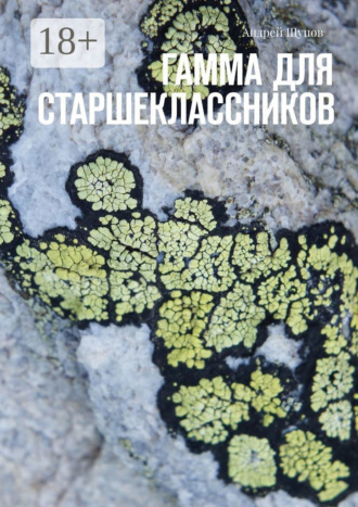 Гамма для старшеклассников Евгений Штиль, Гамма для старшеклассников