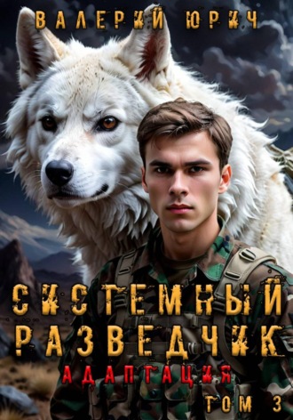 Системный разведчик. Адаптация. Том 3 Валерий Юрич, Системный разведчик. Адаптация. Том 3