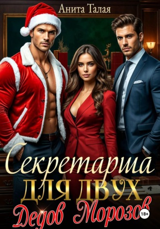 Секретарша для двух Дедов Морозов , Секретарша для двух Дедов Морозов