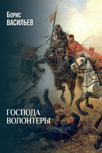 Господа волонтеры Борис Васильев, Господа волонтеры