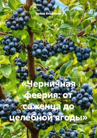 «Черничная феерия: от саженца до целебной ягоды» , «Черничная феерия: от саженца до целебной ягоды»