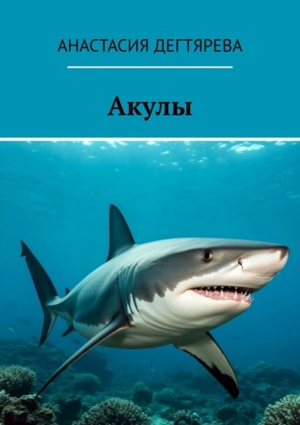 Акулы , Акулы
