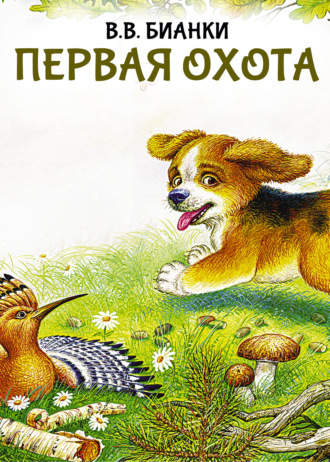 Первая охота Виталий Бианки, Первая охота
