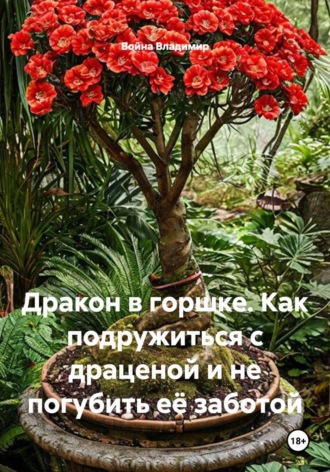 Дракон в горшке. Как подружиться с драценой и не погубить её заботой , Дракон в горшке. Как подружиться с драценой и не погубить её заботой