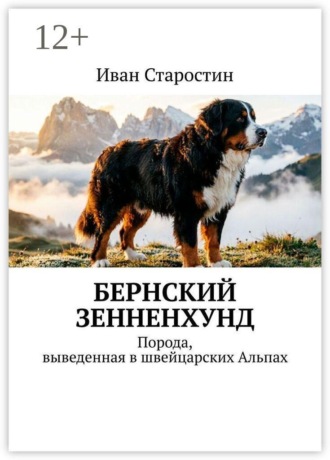Бернский зенненхунд. Порода, выведенная в швейцарских Альпах , Бернский зенненхунд. Порода, выведенная в швейцарских Альпах