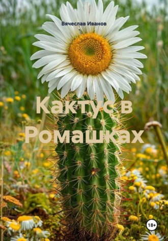Кактус в Ромашках , Кактус в Ромашках